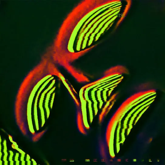 Evan Fong - miss melancholy