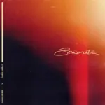 Shawn Mendes - Señorita