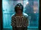 The Kid LAROI - STAY