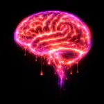 PinkFox - Brain
