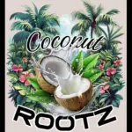 Coconut Rootz  Can I Keep You Mp3 Download