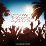 Coconut Rootz  Shield Of My Soul Mp3 Download
