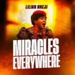 Lilian Nneji  Miracles everywhere Mp3 Download