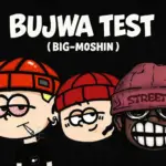 Magwe ZA  Bujwa Test Ft. Thesiix Mp3 Download