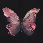 Before You Exit  Silence Mp3 Download