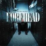 BigWalkDog  Forehead Mp3 Download