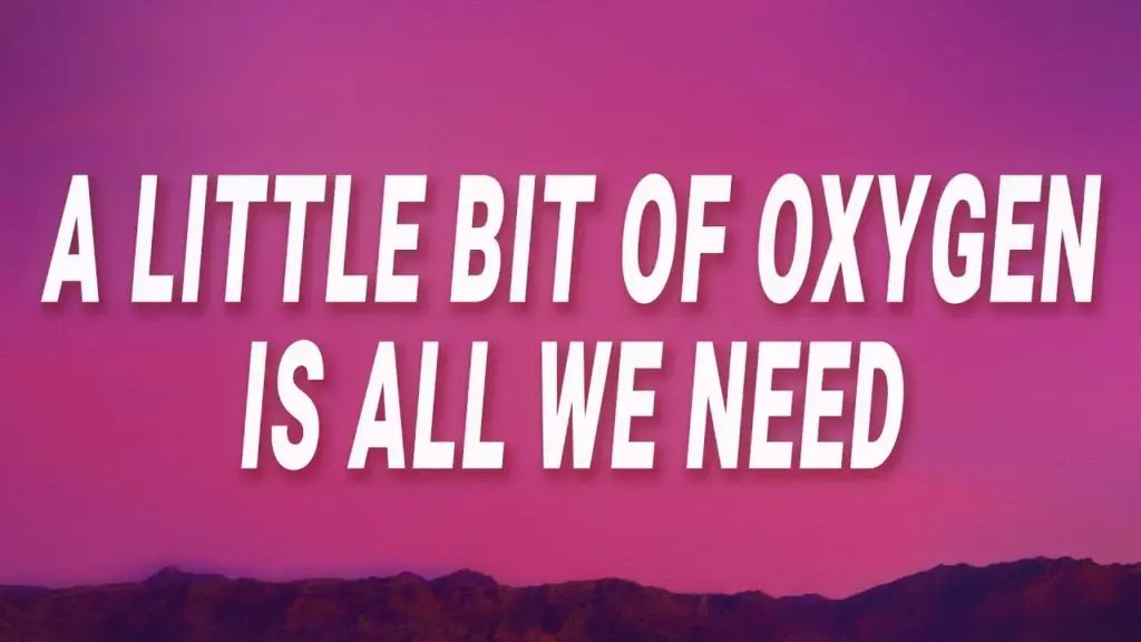 Chris Brown A little bit of oxygen is all we need (No One Else) (Lyrics) ft. Fridayy Mp3 Download