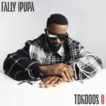 Fally Ipupa  Mon bébé Mp3 Download