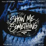 House Of ESAMA  Show Me Something Ft. DMinor, Jay Music, Arcader, Don Edward & Benzoo Mp3 Download