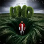 MarazA  Thando Unjani Ft. Skye Wanda Mp3 Download