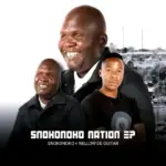 Snokie  Zela force Ft. Nellow de guitar, Thee Ants, Space jay & Inolofatseng KG Mp3 Download
