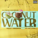SuperSmashBroz  Coconut Water Ft. Seddy Hendrinx & Tyler Loyal Mp3 Download