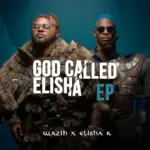 WAZIH  Sex Machine Ft. ELISHA K Mp3 Download