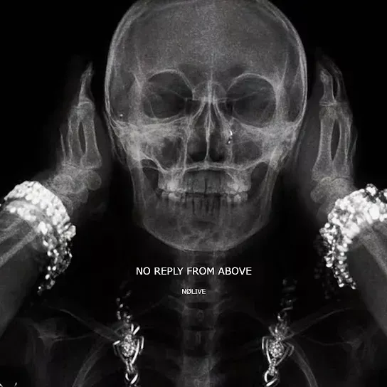 NØLIVE See You in My Dreams Mp3 Download