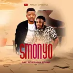 Umfoka Smonyo  Dali ngiphupha ngawe Ft. Mjolisi Mp3 Download