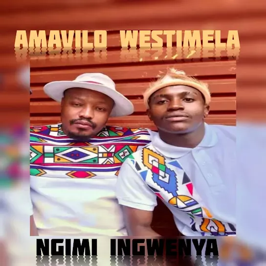 Wonder V  Ngimi ingwenya Ft. Thabiso M Mp3 Download