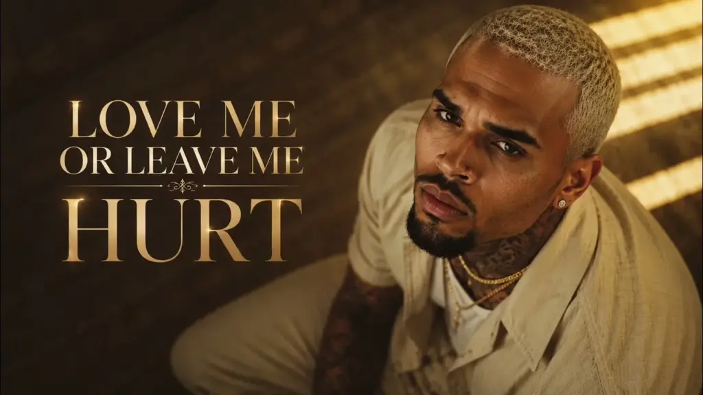 Chris Brown Love Me Or Leave Me Hurt Mp3 Download