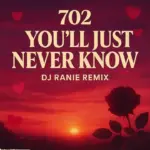 Dj Ranie Next Level 702 You’ll Just Never Know (Dj Ranie Remix) Mp3 Download
