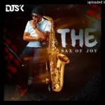 Dj Sk  The Sax Of Joy Mp3 Download