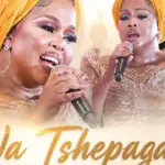 Dr Winnie Mashaba  Wa Tshepagala Mp3 Download
