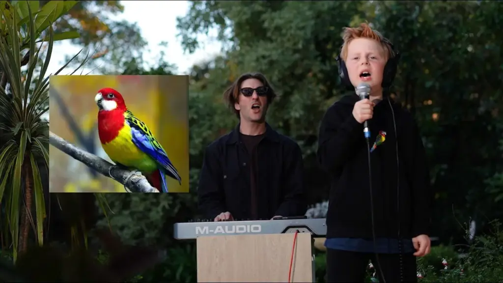Joel Phillips Eastern Rosellas Song by Miles Phillips (and Dad) Mp3 Download