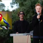 Joel Phillips  Eastern Rosellas Song by Miles Phillips (and Dad) Mp3 Download