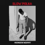 Mbongeni nqomfe  SLOW POLKA Mp3 Download