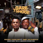 Naleboy Young King Ga re tshoge Ft. Tribby Wadi Bhozza, Nkgetheng The DJ & Massive Productions Mp3 Download