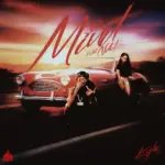 Ndotz  Do You Mind (with Ndotz) Ft. Kyla & DJ Paleface Mp3 Download