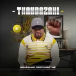 THANDAZANI  Thandazani  Ngafa (Visualizer) Mp3 Download