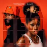 Thatohatsi & Sjava  Ama hem hem feat. ShaunMusiq Mp3 Download