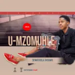 Umzomuhle  Sengakhala zoma Ft. Samkelisiwe Ncwane Mp3 Download